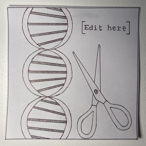 Gene Editing: A giant step forward or a step too far?